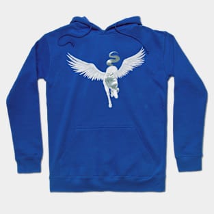 Pegasus 15 Hoodie